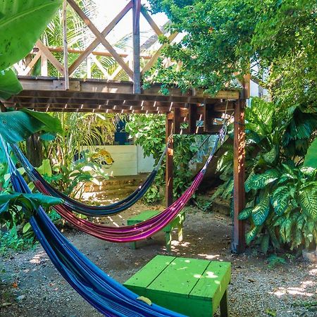 Ciao Cacao Hostel & Vegan Cafe Flores Εξωτερικό φωτογραφία