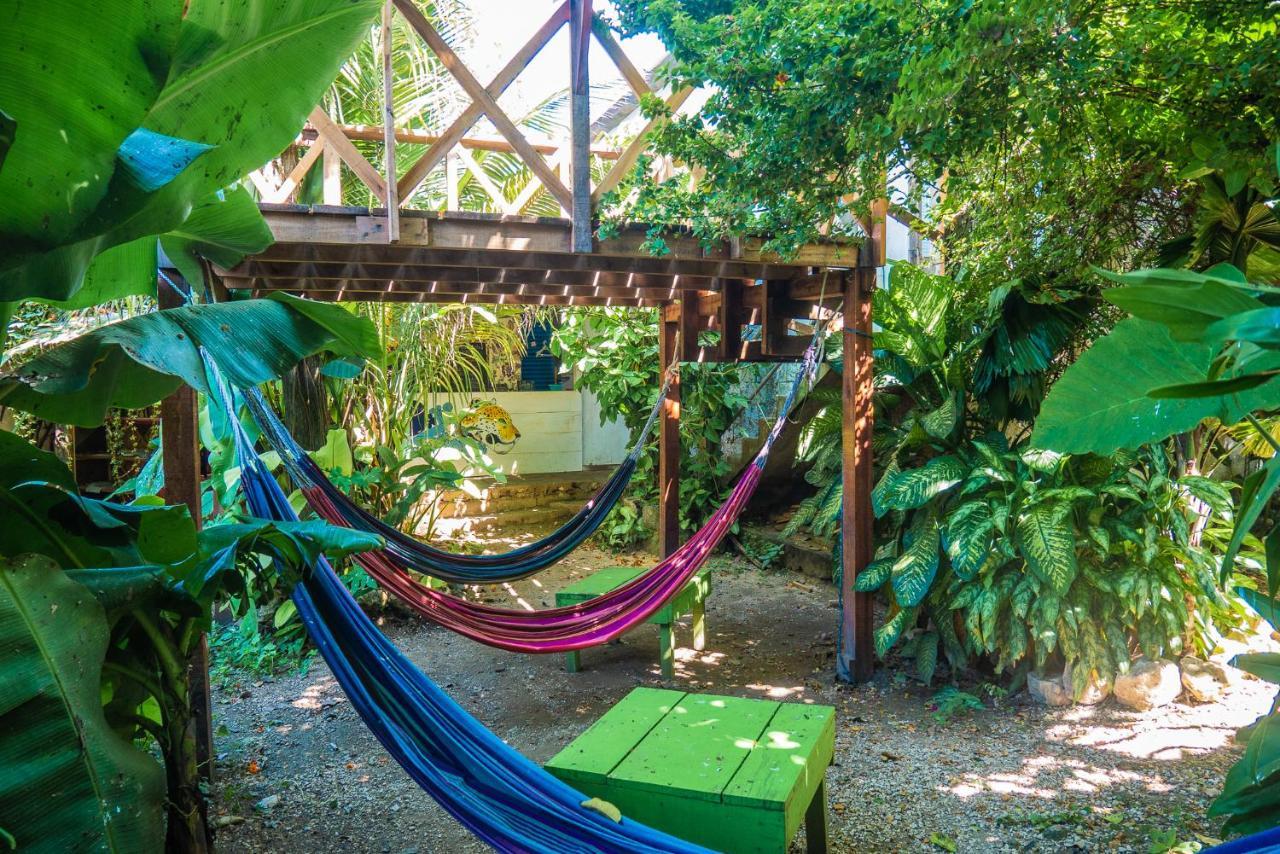 Ciao Cacao Hostel & Vegan Cafe Flores Εξωτερικό φωτογραφία
