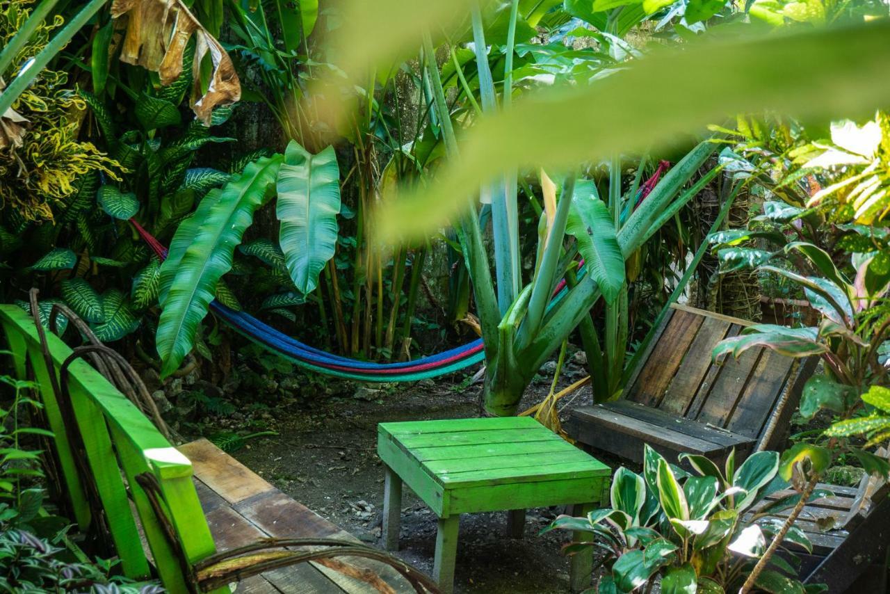 Ciao Cacao Hostel & Vegan Cafe Flores Εξωτερικό φωτογραφία