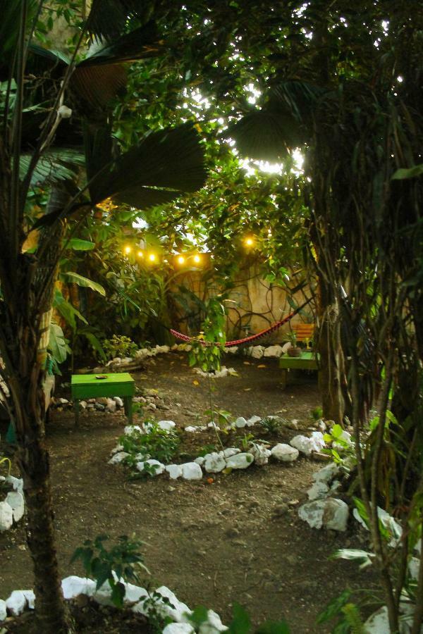 Ciao Cacao Hostel & Vegan Cafe Flores Εξωτερικό φωτογραφία