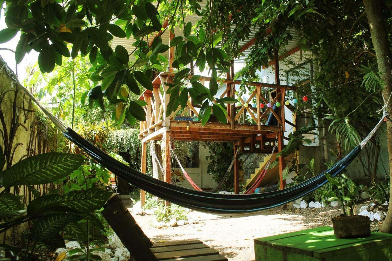 Ciao Cacao Hostel & Vegan Cafe Flores Εξωτερικό φωτογραφία