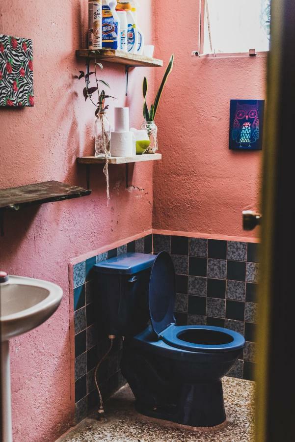 Ciao Cacao Hostel & Vegan Cafe Flores Εξωτερικό φωτογραφία