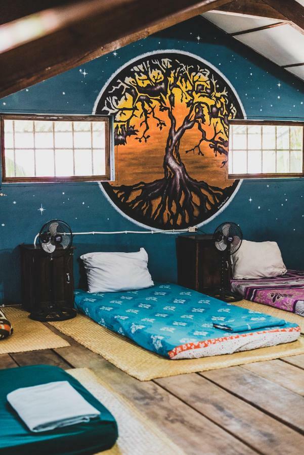 Ciao Cacao Hostel & Vegan Cafe Flores Εξωτερικό φωτογραφία